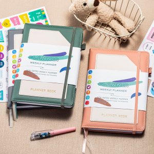 A5 Size Leather Cover Custom Logo Notebook Diary Planner With Stickers
