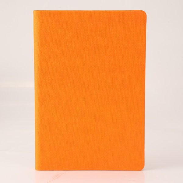 A5 Leather Cover Custom Logo and Inner Pages Color Notebook Diary Planner Stationery - Image 6