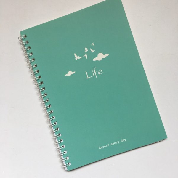 A5 Custom Cover Inner Page Paper Coil Spiral Notebook Diary Planner - Image 2