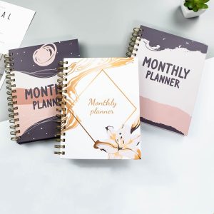 Paper Hard Cover Spiral Coil Diary Planner Notebook with Custom Logo and Inner Pages