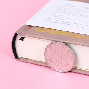 paper diary